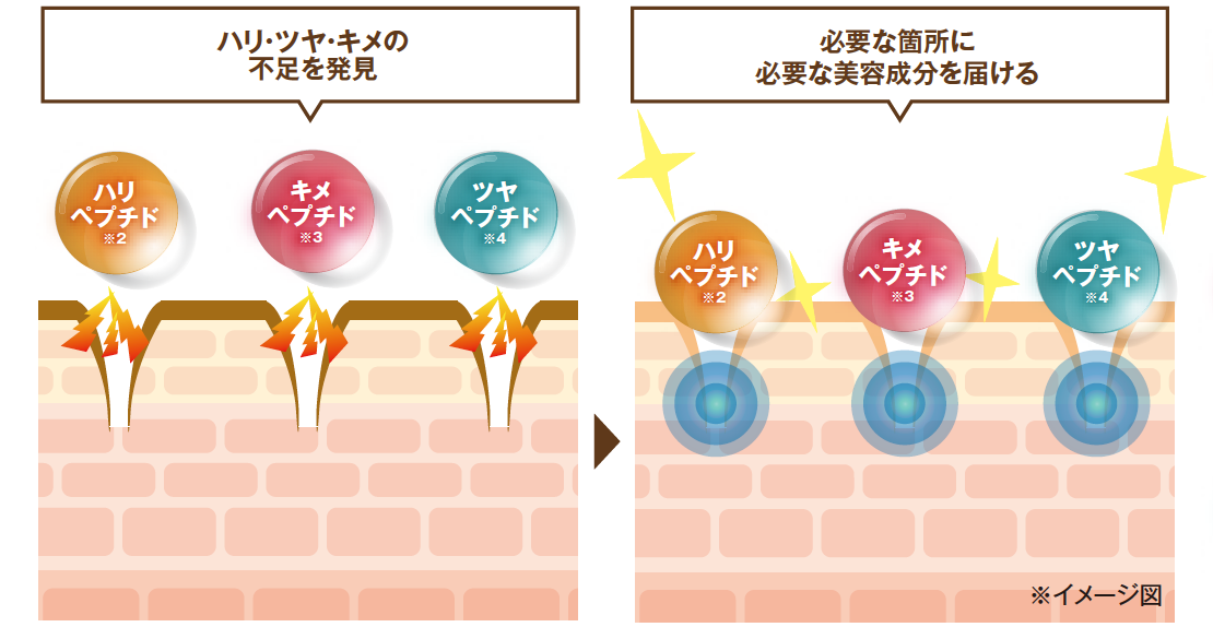 たかの友梨ビューティクリニック／株式会社不二ビューティ