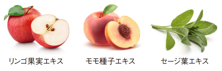 リンゴ果実エキス モモ種子エキス セージ葉エキス