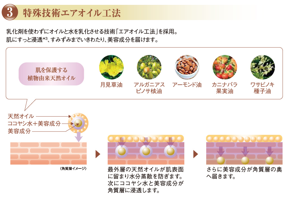 特殊技術エアオイル工法